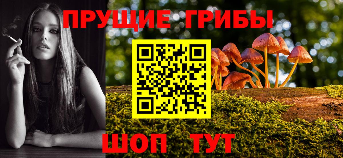Галлюциногенные грибы прущие грибы  где можно купить   Озёрск  Вход с VPN 